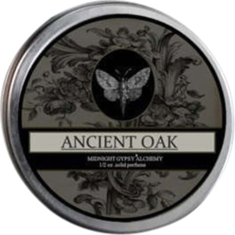Ancient Oak